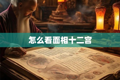 怎么看面相十二宫