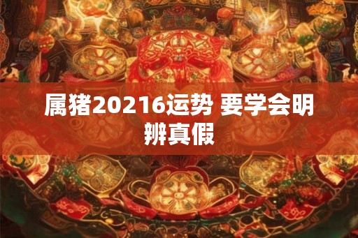 属猪20216运势 要学会明辨真假