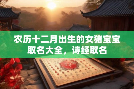 农历十二月出生的女猪宝宝取名大全，诗经取名