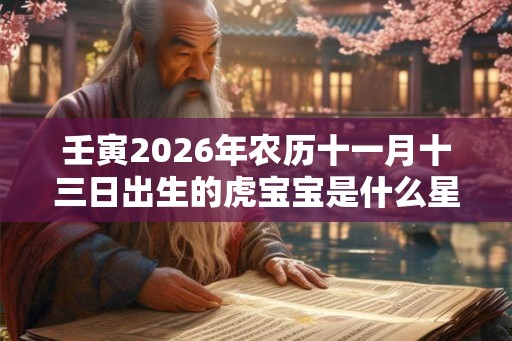 壬寅2026年农历十一月十三日出生的虎宝宝是什么星座？