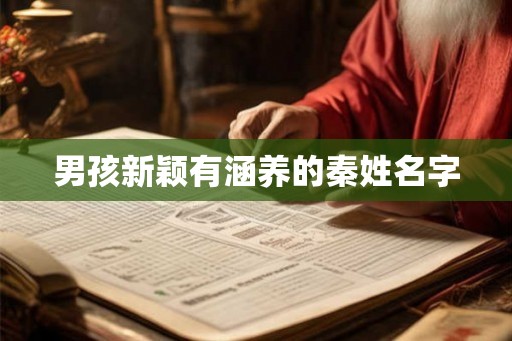 男孩新颖有涵养的秦姓名字