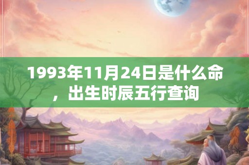 1993年11月24日是什么命，出生时辰五行查询