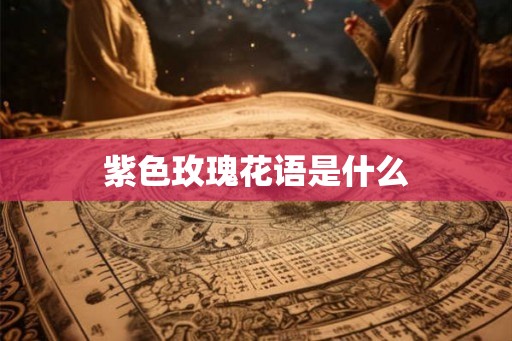 紫色玫瑰花语是什么 紫色玫瑰花语是什么