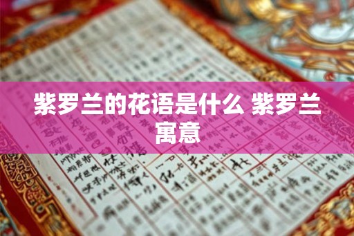 紫罗兰的花语是什么 紫罗兰寓意