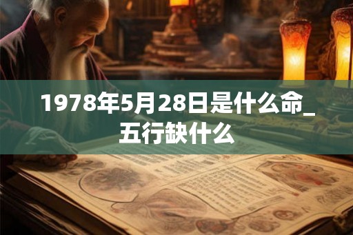 1978年5月28日是什么命_五行缺什么