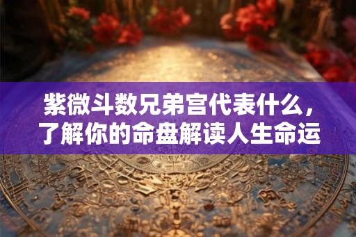 紫微斗数兄弟宫代表什么，了解你的命盘解读人生命运