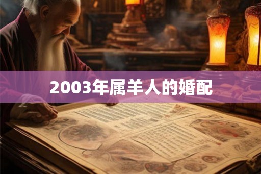 2003年属羊人的婚配