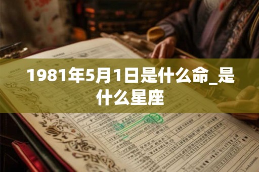 1981年5月1日是什么命_是什么星座