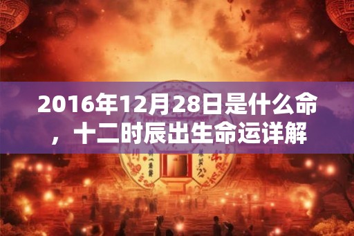 2016年12月28日是什么命，十二时辰出生命运详解