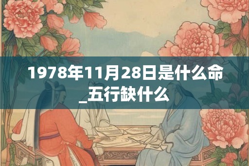 1978年11月28日是什么命_五行缺什么