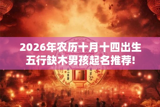 2026年农历十月十四出生五行缺木男孩起名推荐!