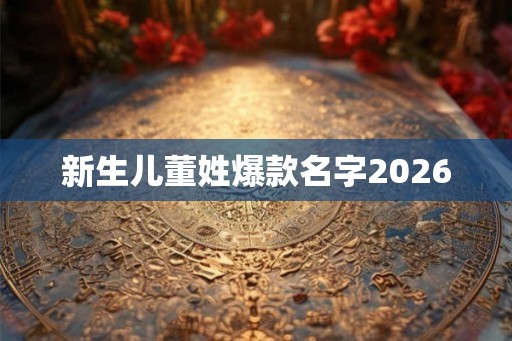 新生儿董姓爆款名字2026