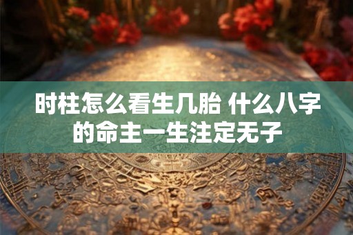 时柱怎么看生几胎 什么八字的命主一生注定无子 时柱怎么看生几胎 什么八字的命主一生注定无子
