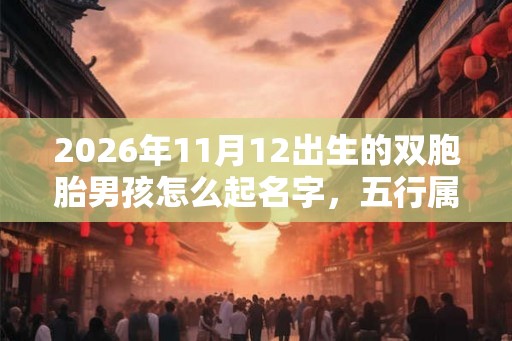 2026年11月12出生的双胞胎男孩怎么起名字，五行属什么
