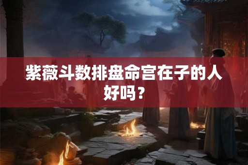 紫薇斗数排盘命宫在子的人好吗？