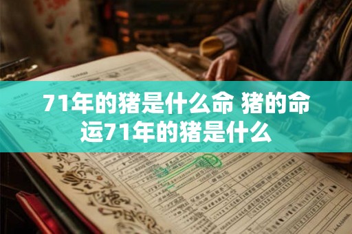 71年的猪是什么命 猪的命运71年的猪是什么