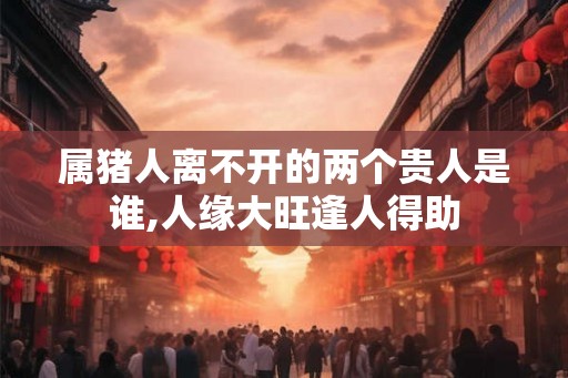 属猪人离不开的两个贵人是谁,人缘大旺逢人得助