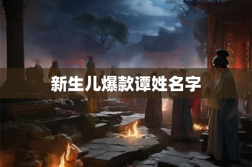 新生儿爆款谭姓名字
