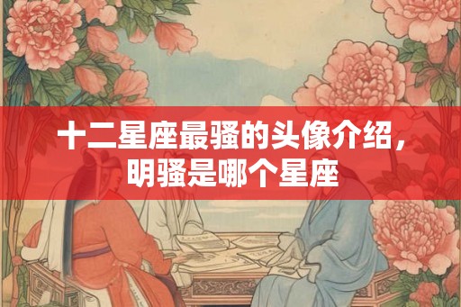 十二星座最骚的头像介绍，明骚是哪个星座