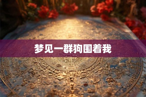 梦见一群狗围着我