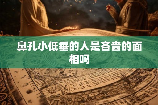 鼻孔小低垂的人是吝啬的面相吗