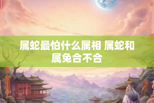 属蛇最怕什么属相 属蛇和属兔合不合 属蛇最怕什么属相 属蛇和属兔合不合