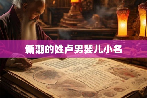 新潮的姓卢男婴儿小名