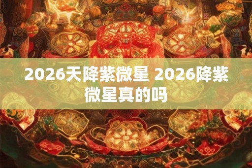 2026天降紫微星 2026降紫微星真的吗