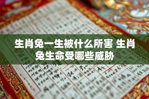 生肖兔一生被什么所害 生肖兔生命受哪些威胁