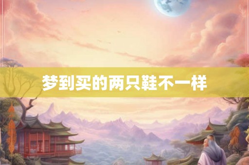 梦到买的两只鞋不一样