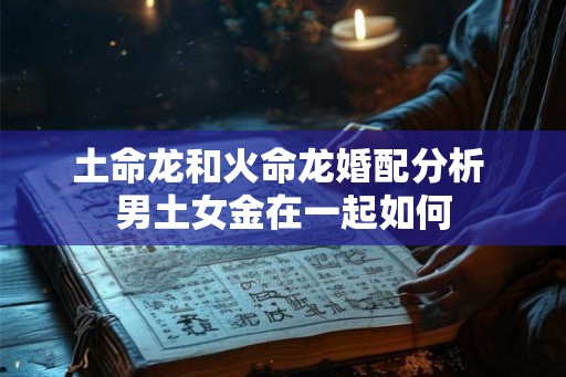 土命龙和火命龙婚配分析 男土女金在一起如何
