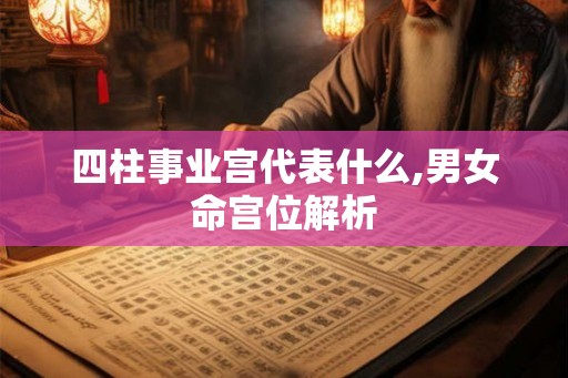 四柱事业宫代表什么,男女命宫位解析