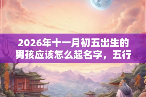 2026年十一月初五出生的男孩应该怎么起名字，五行属什么