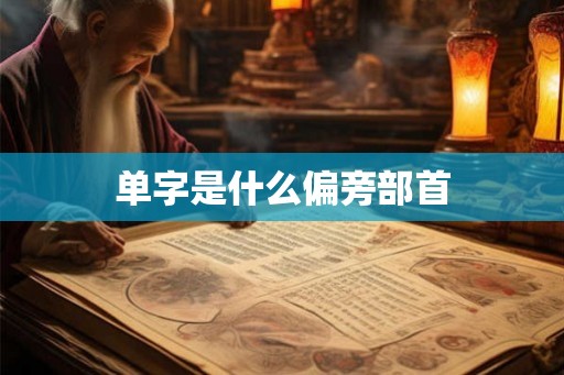单字是什么偏旁部首