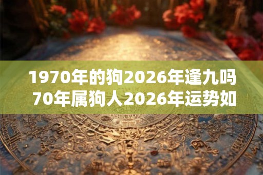1970年的狗2026年逢九吗 70年属狗人2026年运势如何