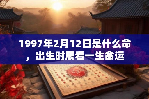 1997年2月12日是什么命，出生时辰看一生命运