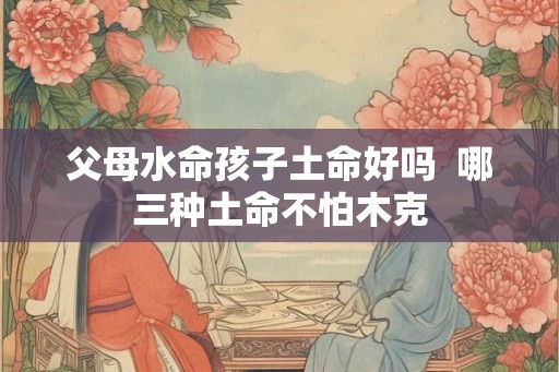 父母水命孩子土命好吗  哪三种土命不怕木克