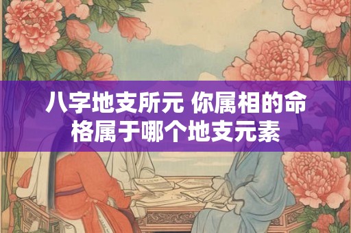 八字地支所元 你属相的命格属于哪个地支元素