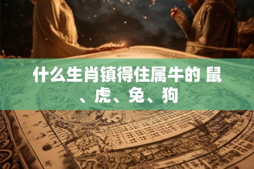 什么生肖镇得住属牛的 鼠、虎、兔、狗