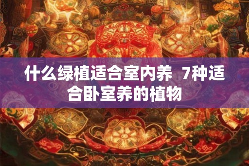 什么绿植适合室内养  7种适合卧室养的植物