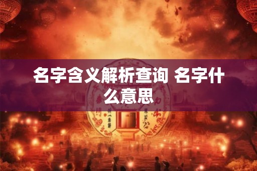 名字含义解析查询 名字什么意思