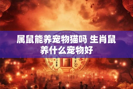 属鼠能养宠物猫吗 生肖鼠养什么宠物好