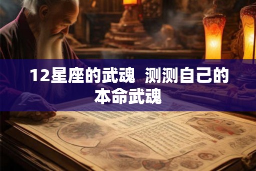 12星座的武魂  测测自己的本命武魂