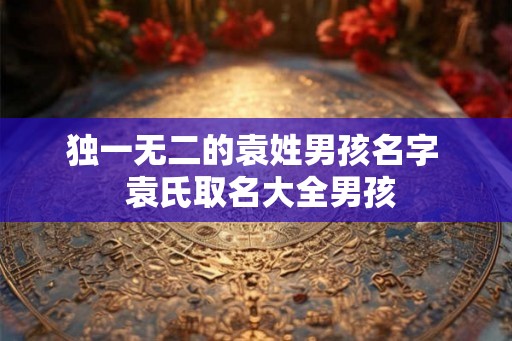 独一无二的袁姓男孩名字 袁氏取名大全男孩 独一无二的袁姓男孩名字 袁氏取名大全男孩