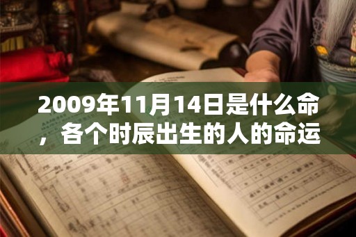 2009年11月14日是什么命，各个时辰出生的人的命运