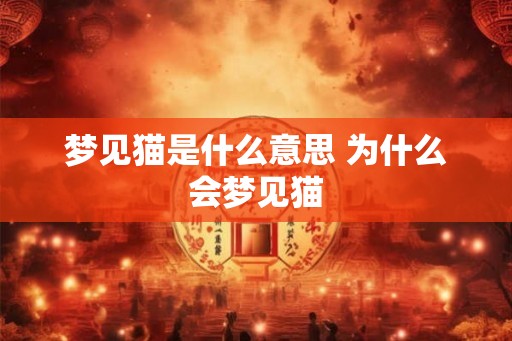 梦见猫是什么意思 为什么会梦见猫