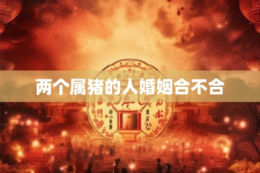 两个属猪的人婚姻合不合 两个属猪的人婚姻合不合
