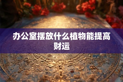 办公室摆放什么植物能提高财运