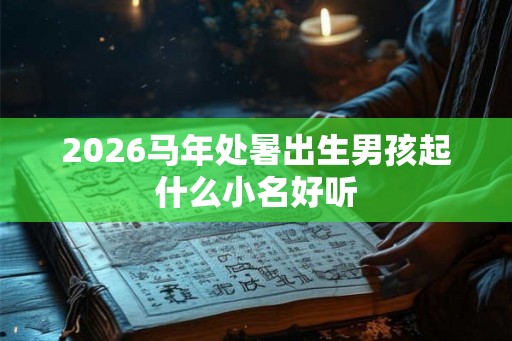 2026马年处暑出生男孩起什么小名好听
