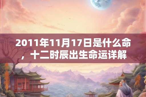 2011年11月17日是什么命，十二时辰出生命运详解
